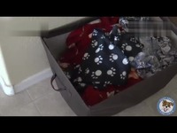 最新视频 激战奇轮-游戏视频_17173游戏视频