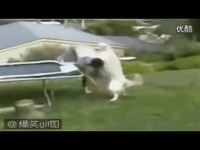 田东作登新安新村视频 搞笑包青天 黄客途-视频