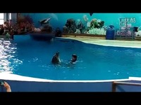 最热视频 可可到南京海底世界_海豚表演2-视频