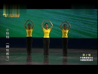 中国舞蹈家协会中国舞蹈考级第二级2小铃铛(脚