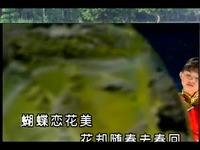 周传雄 - 寂寞沙洲冷 - 网络歌手 翻唱 2014年最