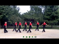 <em>华彩广场舞 阿哥阿妹</em>新-视频 热点视频_17173