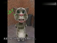 东北猫吐槽文章,简直不要太逗-视频 视频短片_