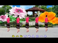 视频片段 2014最新<em>吉美广场舞</em> <em>情歌</em>飞进妹心窝