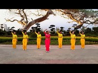独家视频 瑞金丽萍广场舞(2013最新原创健身操