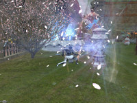 最终幻想14 美图欣赏：樱花树下樱花连！ 